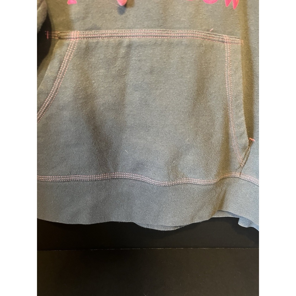 New Glarus Brewing Co. Hoodie Sweatshirt Sz M Cotton Spotted Cow, Gray & Pink - Picture 3 of 12